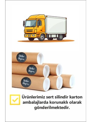 Sticker Ekspres Çift Taraflı Baskılı Kış Kuşları Kokinalar ve Kar Taneleri Yılbaşı Cam Sticker Seti Yeni Yıl Süsü