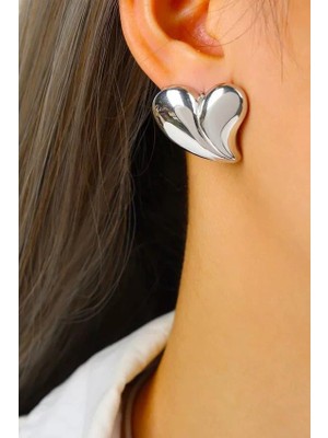 Kadın Özel Tasarım Kalp Küpe ZYN17