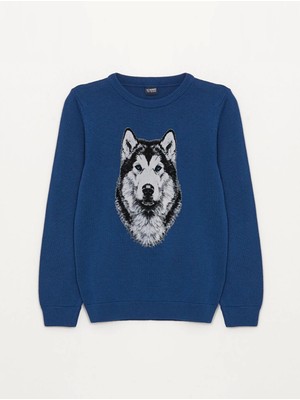 LC Waikiki Lcw Kids Lacivert Bisiklet Yaka Baskılı Uzun Kollu Erkek Çocuk Triko Kazak