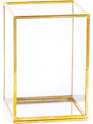 Tekno Trust Cam Gold Fırçalık Düzenleyici