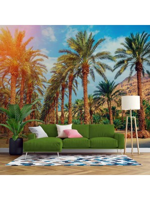 Hindistan Cevizi Ağaç Manzaralı Duvar Kağıdı