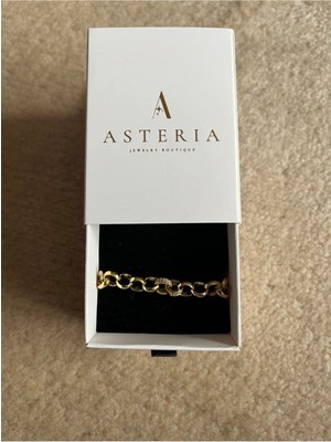 Asteria Jewelry Cts Model 14K Renk Zirkon Taşlı Zincir Künye