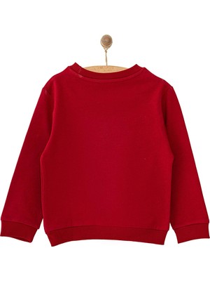 Hellobaby Basic Az Şardonlu Aslan Desenli Sweatshirt Erkek Bebek