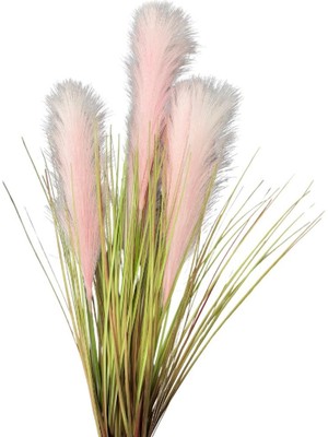 Lara Decor 4'lü Pembe Pampas Tüy