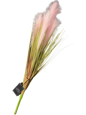 Lara Decor 4'lü Pembe Pampas Tüy