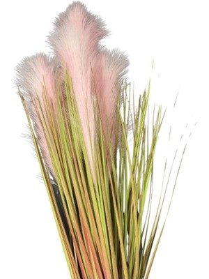 Lara Decor 4'lü Pembe Pampas Tüy