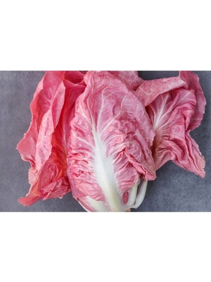 Ayc Botanik 100 Adet Ithal Pembe Marul Tohumu