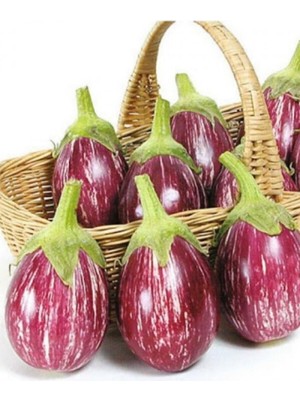 Çizgili Mor Patlıcan Tohumu 25 Adet