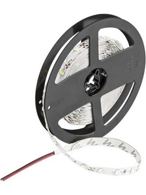 Cata 5m Gold Şerit LED Beyaz Iç Mekan Aydınlatma Cat CT-4535