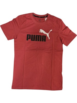 Puma Ess 2 Col Logo Tee Erkek Tshirt