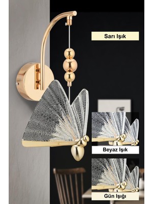 Istanbul Avize Ipek Tekli Gold Ledli 3 Renk Modern LED Aplik