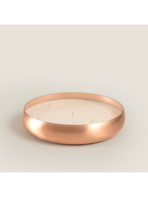 Elagance Mum Rose 25 cm Rose