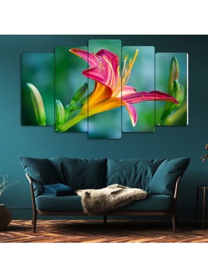 Zevahir Mobilya Dekorasyon 5 Parça Mdf Renkli Çiçek Tablo