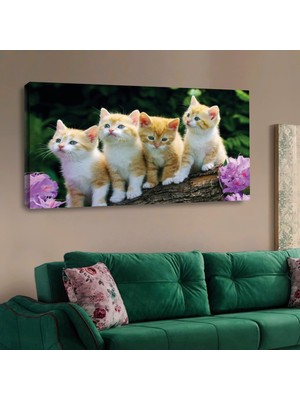 Zevahir Mobilya Dekorasyon Zevahir 120x60 Kanvas Yavru Kediler Tablosu