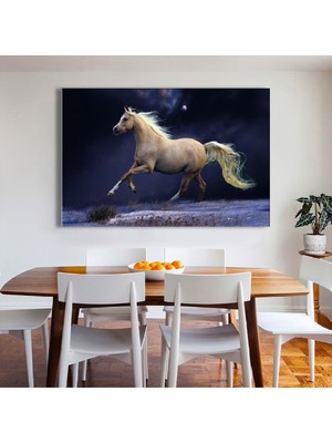 Zevahir Mobilya Dekorasyon 120x80 Cm Beyaz At Kanvas Tablo