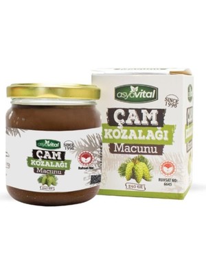 Asya Vital Çam Kozalağı Macunu 240 gr