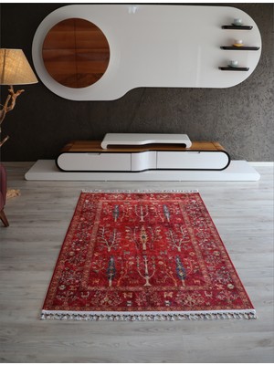 Arte Halı Dekoratif Örgü Saçaklı Salon Halısı Makinada Yıkanabilir Kaymaz Taban Kilim Koridor Yolluk