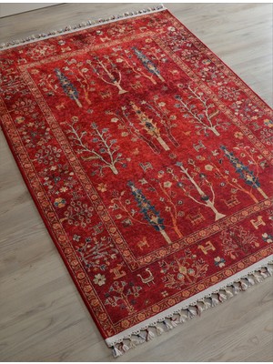 Arte Halı Dekoratif Örgü Saçaklı Salon Halısı Makinada Yıkanabilir Kaymaz Taban Kilim Koridor Yolluk