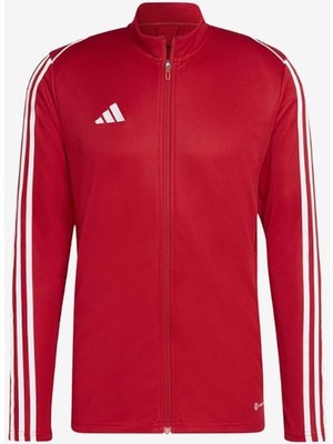 adidas TIRO23 L Tr Jkt Erkek Ceket HS3502