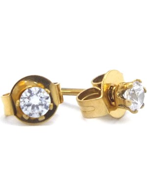 Bz Altın Kaplama Altı Tırnaklı Zirkon Taş Kadın Küpe UNK-780