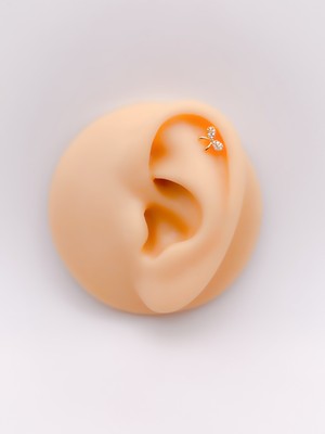 Trinos Cerrahi Çelik Piercing Full Zirkon Taşlı Fiyonk Kıkırdak Helix Tragus PIERCING(1ADET)