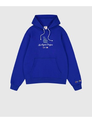 Champion Hooded Sweatshirt