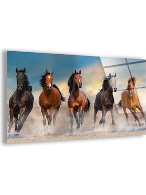 Zevahir Mobilya Dekorasyon Kırılmaz Cam At Tablo