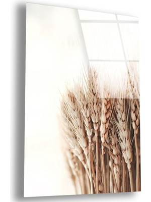 Zevahir Mobilya Dekorasyon Kırılmaz Cam Buğday Tablo