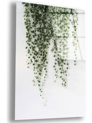 Zevahir Mobilya Dekorasyon Kırılmaz Cam Asma Bitki Tablo