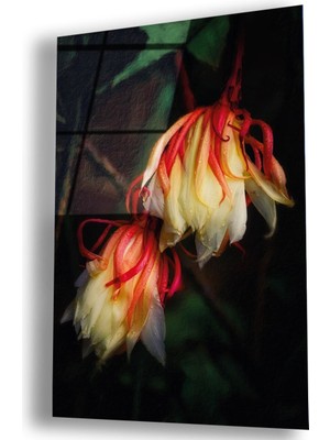 Zevahir Mobilya Dekorasyon Kırılmaz Cam Çiçek Tablo