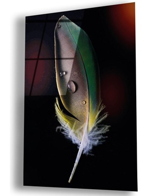 Zevahir Mobilya Dekorasyon Kırılmaz Cam Tüy Tablo