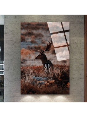 Zevahir Mobilya Dekorasyon Kırılmaz Cam Renkli Papağanlar Tablo