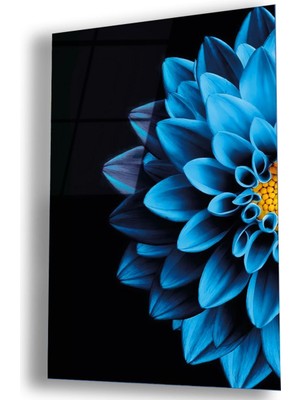 Zevahir Mobilya Dekorasyon Kırılmaz Cam Mavi Çiçek Tablo