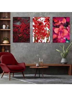 Üçlü Mdf Renkli Çiçekler Tablo Seti