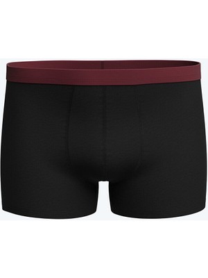 LC Waikiki Standart Kalıp Pamuklu Esnek Erkek Boxer 3'LÜ_8684144445228_XL