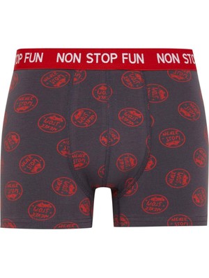 DeFacto Regular Fit 3'lü Boxer B4782AX24WN