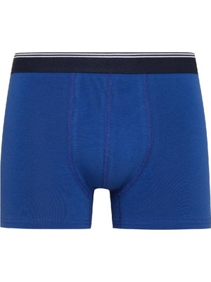 DeFacto Regular Fit 3'lü Boxer D2321AX24WN