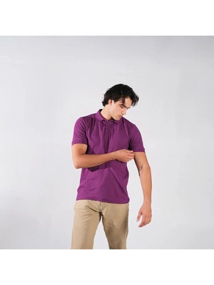 Ayt Collection Erkek Mor Polo Yaka T-Shirt L