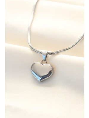 Ebijuteri 316L Çelik Gümüş Renk Kalp Kolye