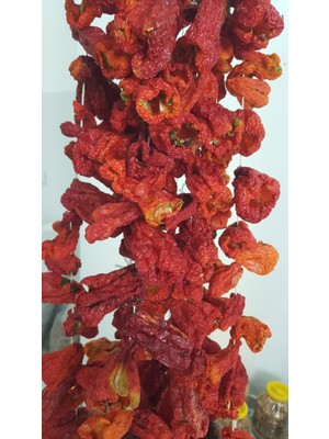 Toptan Dolmalık Biber Kurusu -10- Bağ