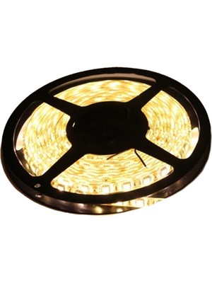 Şerit LED Iç Mekan Gold 240 LED Günışığı