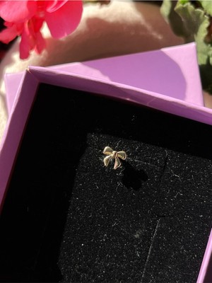 2D2B Nature Cerrahi Çelik Arkası Düz Kurdele Piercing,tragus, Helix, Kıkırdak.