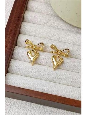 Kadın Özel Tasarım Kalp ve Kurdele Model Küpe Zyn8
