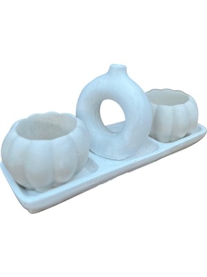 Bayraktar Peyzaj Hediyelik Dekoratif 3'lü Balkabaklı Saksı Seti