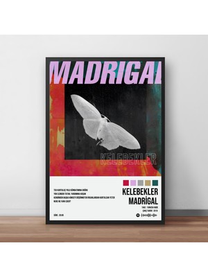 Orenda Art Madrigal - Kelebekler / Çerçeveli Poster Tablo