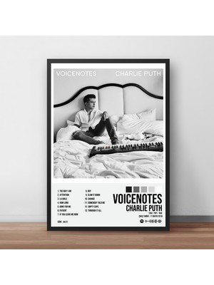 Orenda Art Charlie Puth - Voicenotes Albüm / Çerçeveli Poster Tablo