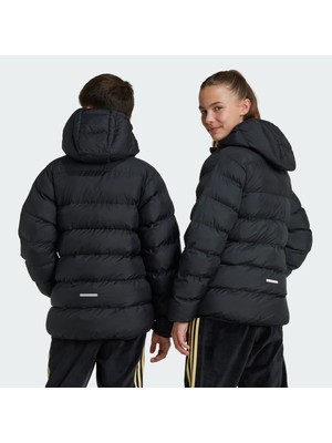 Adidas Sportswear IV9505 Synthetic Down Jacket