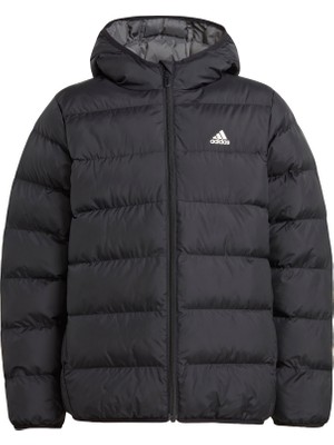 Adidas Sportswear IV9505 Synthetic Down Jacket