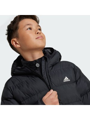 Adidas Sportswear IV9505 Synthetic Down Jacket