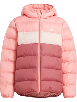 Adidas Sportswear IY6916 Synthetic Down Jacket